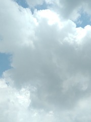 264068