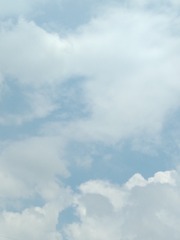 264062