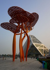 DSC00427_conew1.jpg