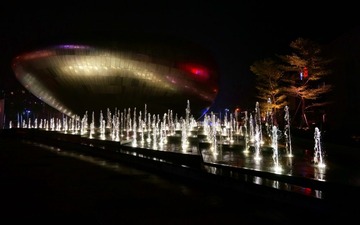 DSC00704_conew1.jpg