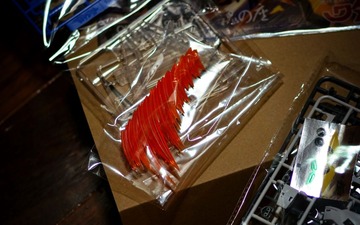 DSC04101_conew1