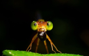 9cf05c8b4710b912354d88e6c1fdfc039345227f_conew1