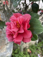 5BD395D5-F235-4A45-A31C-94124CA15E58