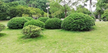 510417