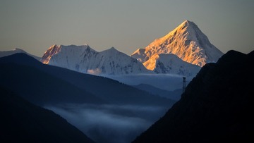 1000017341