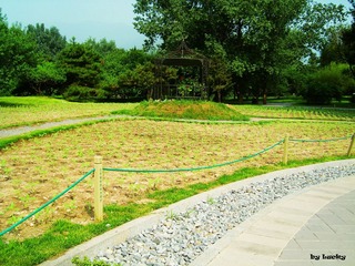 夏景