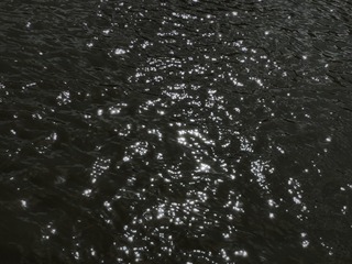 3D7AF706-B21C-478E-8AE5-9820801F13D9/L0/001