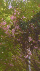 68D1CF82-BE67-4343-9509-0EF380E8920F/L0/001