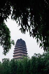 2722A6B5-BB1D-4146-9E6C-541743D35AEF/L0/001