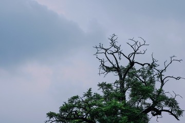 1BD68E1B-CF7B-4C59-A95D-7A209002F3FF/L0/001