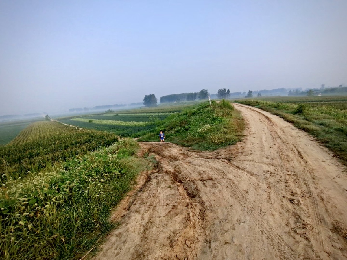 安徽阜阳农村小路边手机拍摄