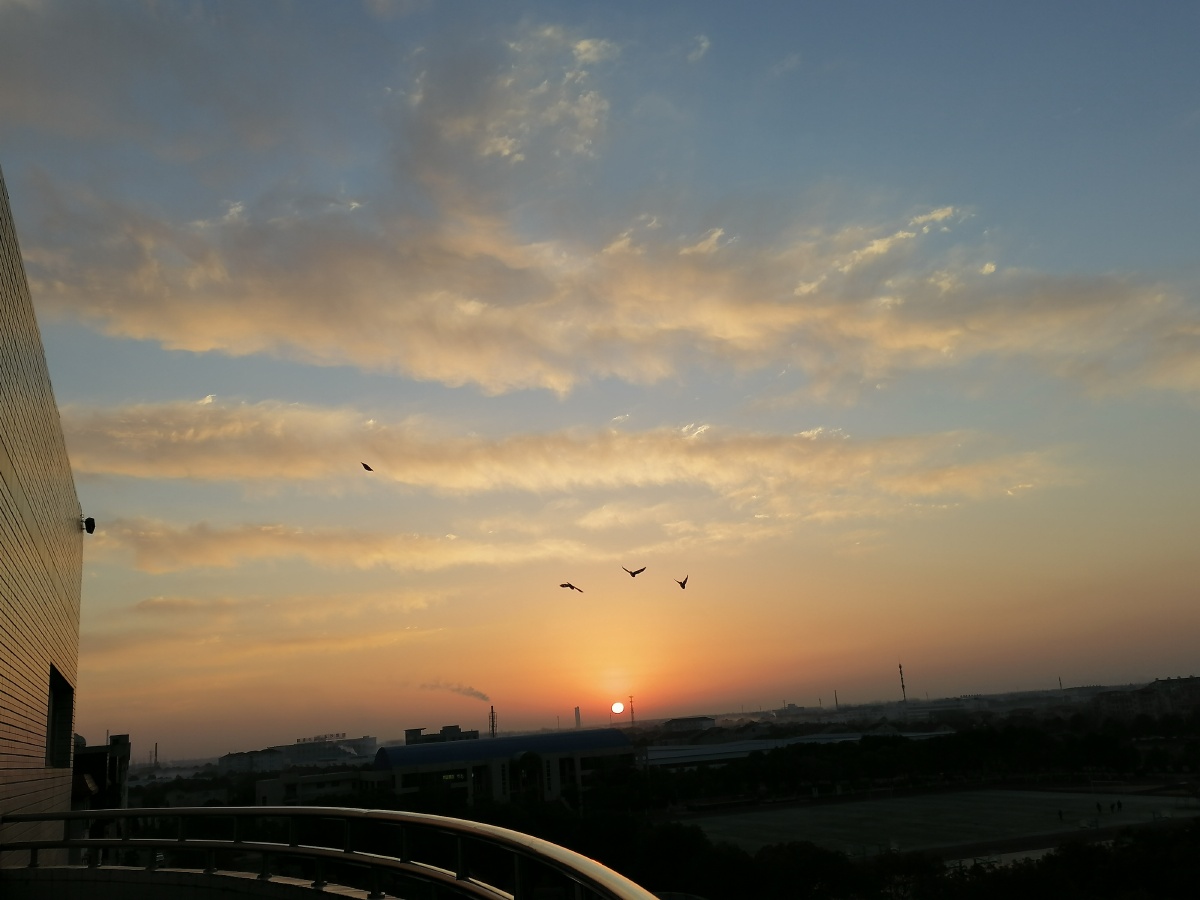 回不去的高中校园时光经历了春夏秋冬高中晚霞总是最美的