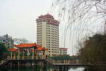 IMG_7626.jpg