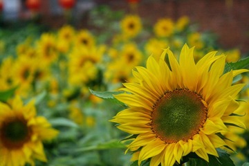 IMG_7623.jpg