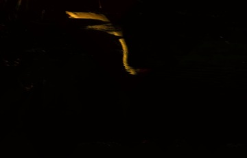 _DSC2816_副本
