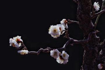 75E786E2-256B-46F8-98E0-890B2FA06149/L0/001