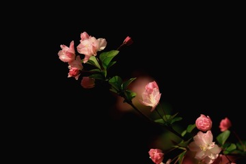82393142-7C9A-48B6-91D8-99574CEDAF89/L0/001