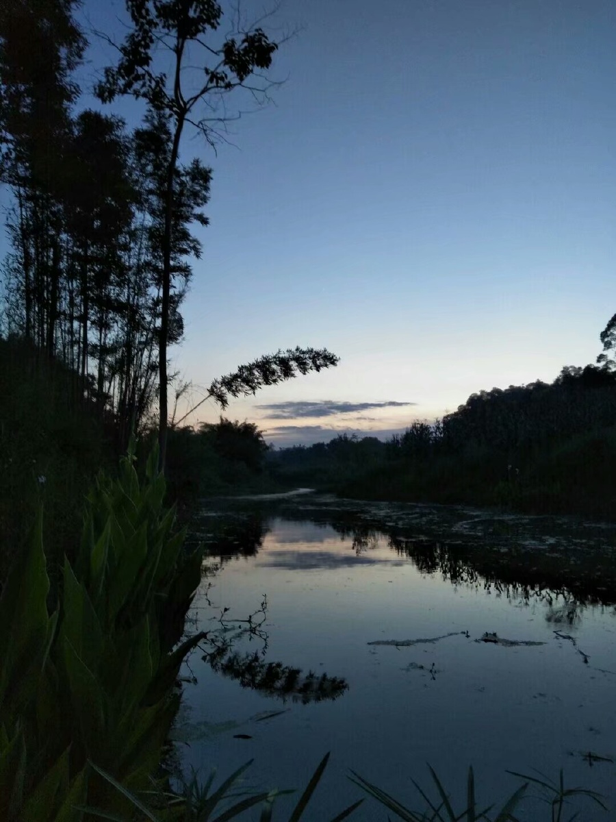夜晚的风总是那样宁静