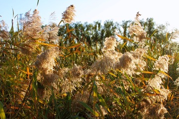 5AB00E22-2FFA-4A3A-BA78-0D8888FBF228/L0/001