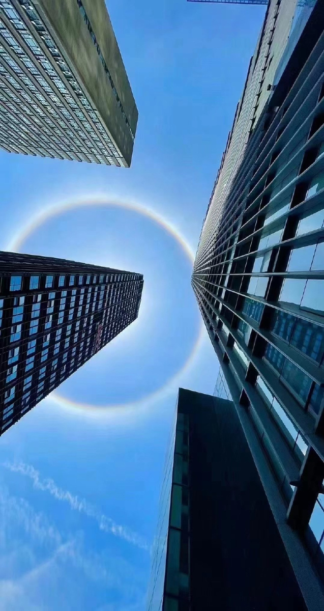 好康的圆虹谁不爱呢