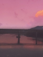 68339