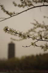 IMGP5633.JPG