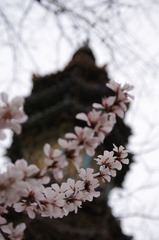 IMGP5694.JPG