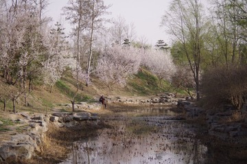 IMGP5926.JPG
