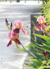 001