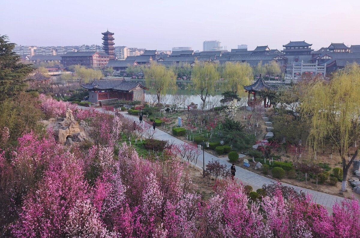 春来了
