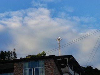 245292