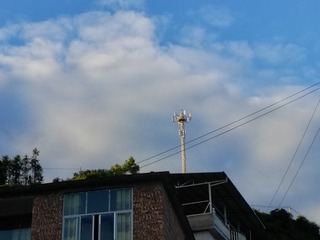 245293