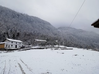 424903
