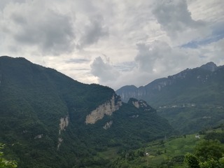 245390