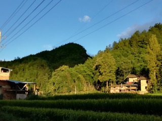 245287
