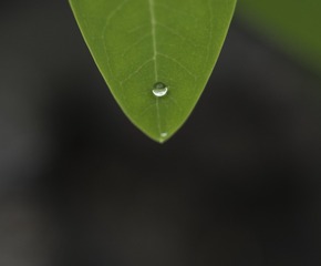 456846