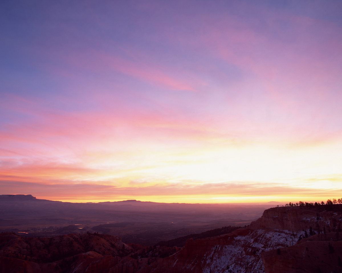 梦幻的颜色紫色