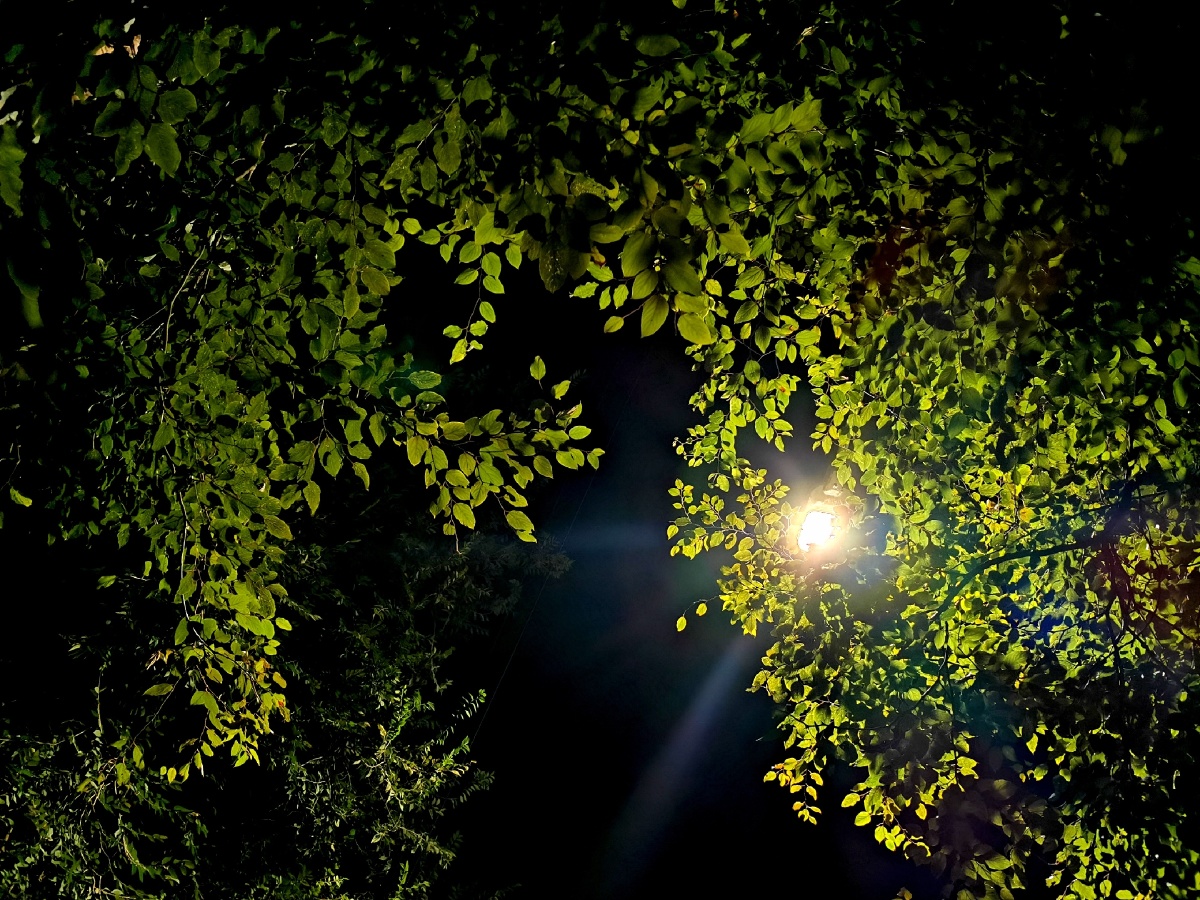 秋天的第二个夜晚,风微凉,仿佛思念着什么,有点凄凉.