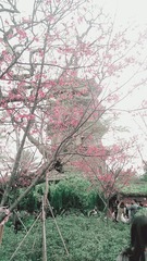 D9605714-9A12-44D5-85A1-565C006F7725/L0/001