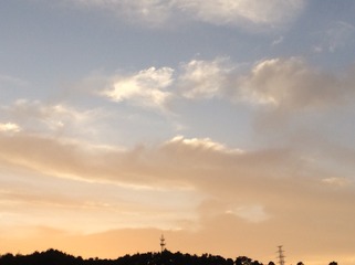 C5F1542F-261E-490B-BD45-EFDEE8D2CAEB/L0/001