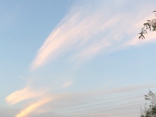 B2AABC56-212C-458F-A483-BEF554292D2F/L0/001
