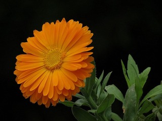 IMG_3030.jpg