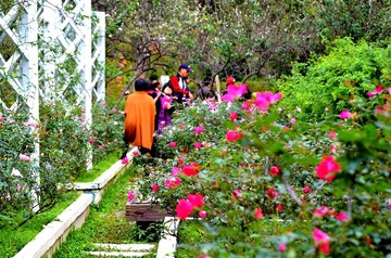 DSC_1530.jpg
