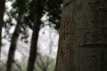 IMGP0949.jpg
