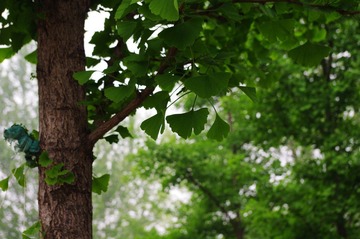 IMGP0903.jpg