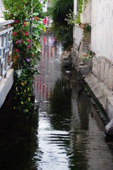 IMGP1422.jpg