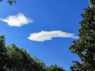 9F9EA32E-49B9-4093-B6FC-4D4797564DED/L0/001