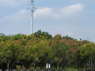 342C37E7-0802-4EB7-940D-9C631718E0A2/L0/001
