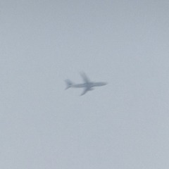 FA708CBA-B27B-4412-8562-6236D74E77E0/L0/001