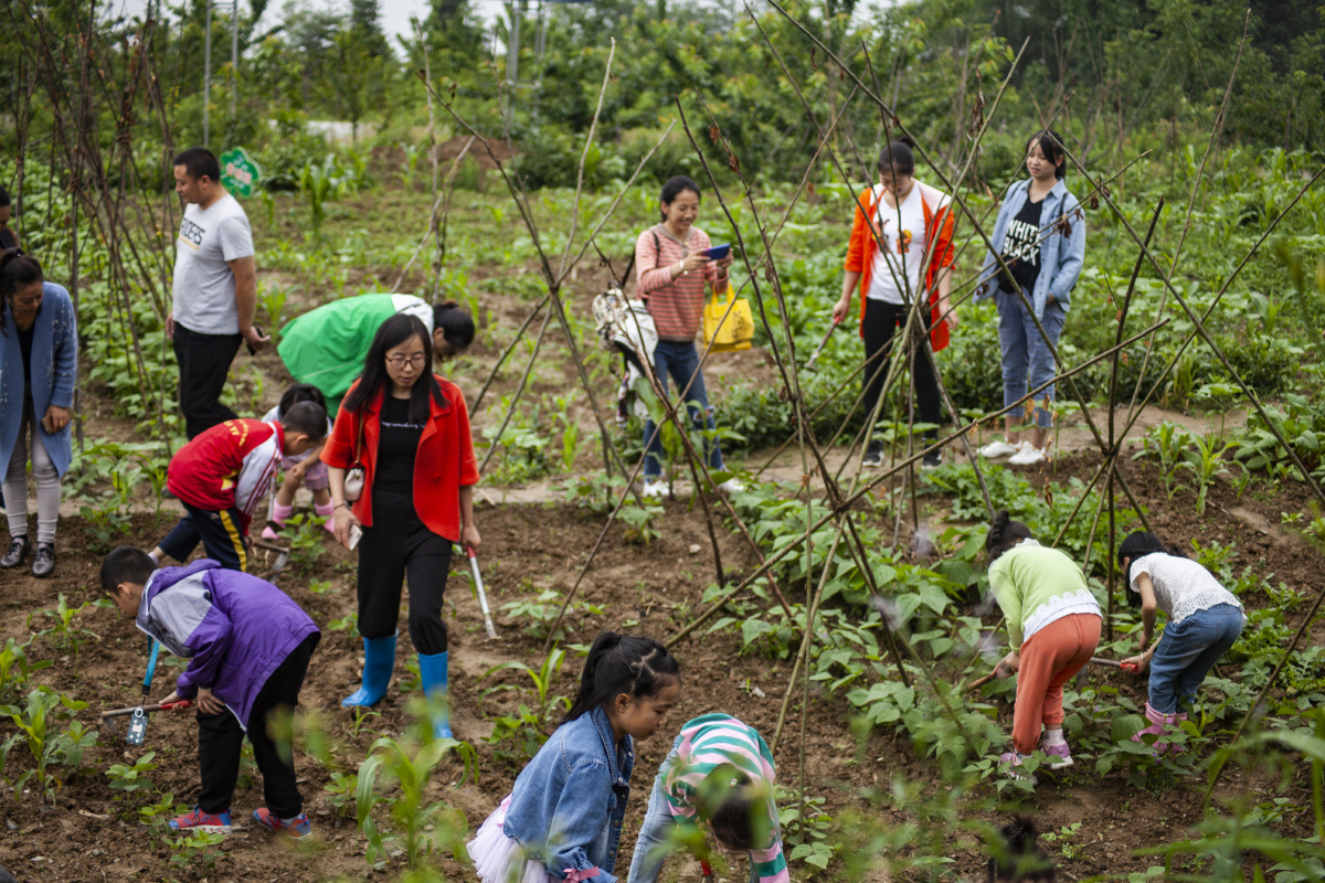 小朋友体验学农锄禾农耕活动